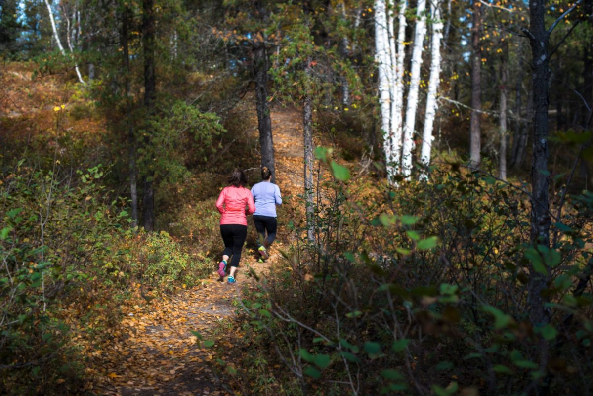 English literature picture